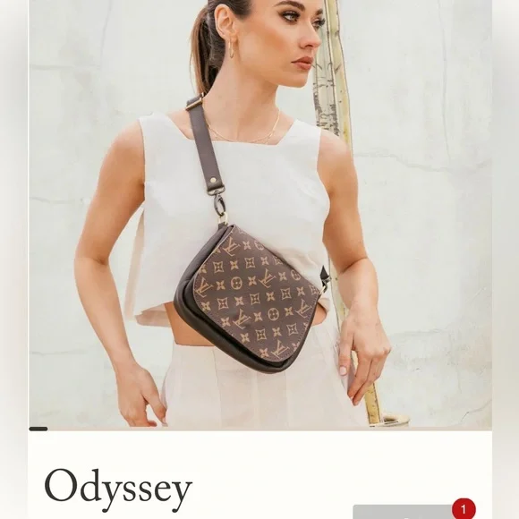 Louis Vuitton Designer Brown Crossbody Bag - Picture 7 of 15